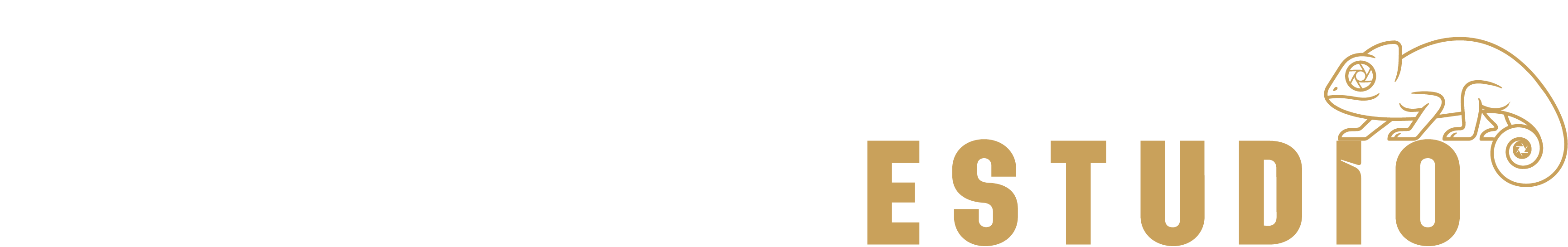 Focus Estudio Visual